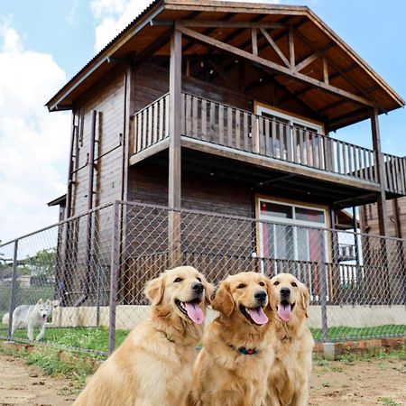 Therpup Resort Kammasandra Екстериор снимка