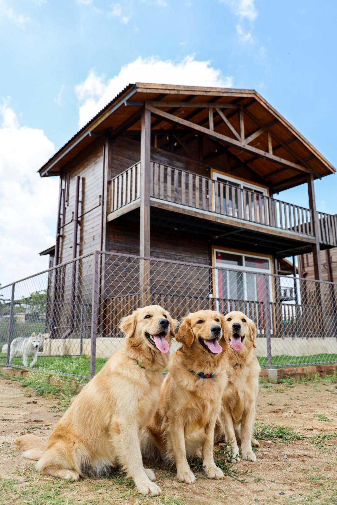 Therpup Resort Kammasandra Екстериор снимка